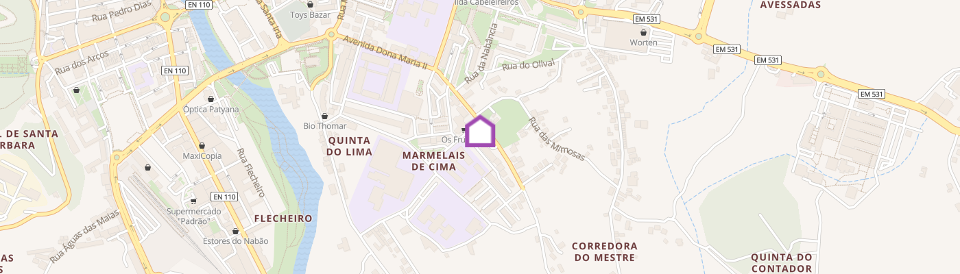 listing-map-picture