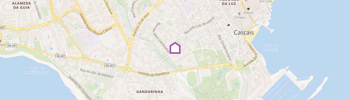 listing-map-picture