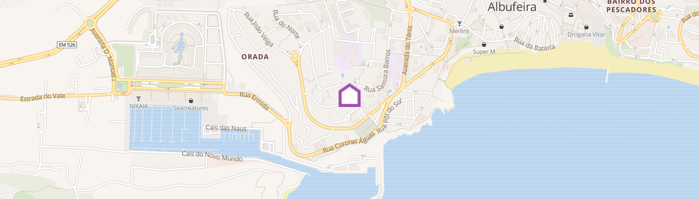 listing-map-picture
