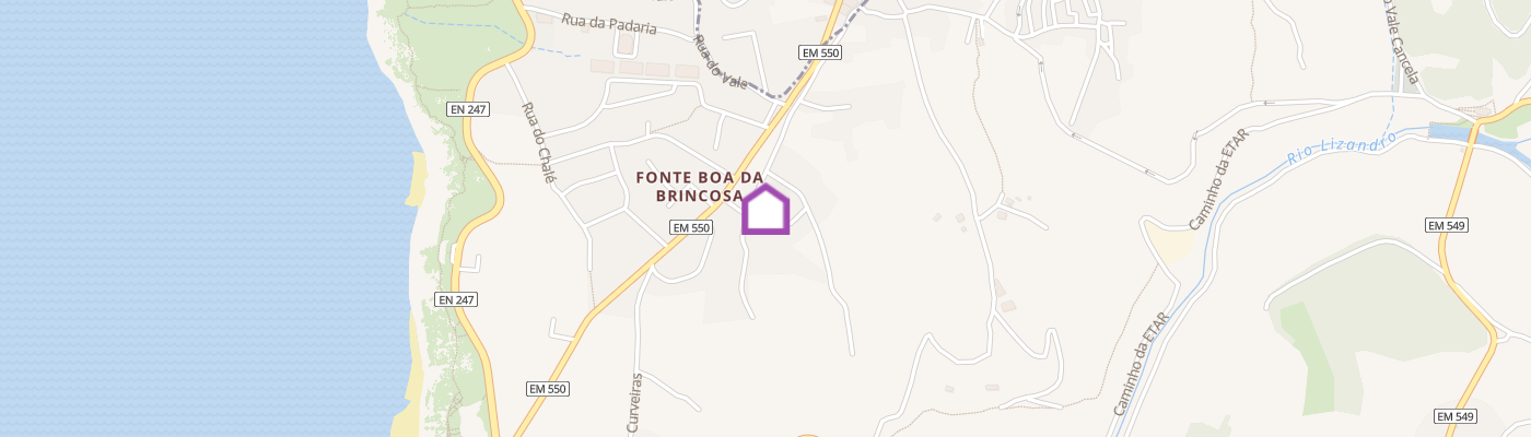 listing-map-picture