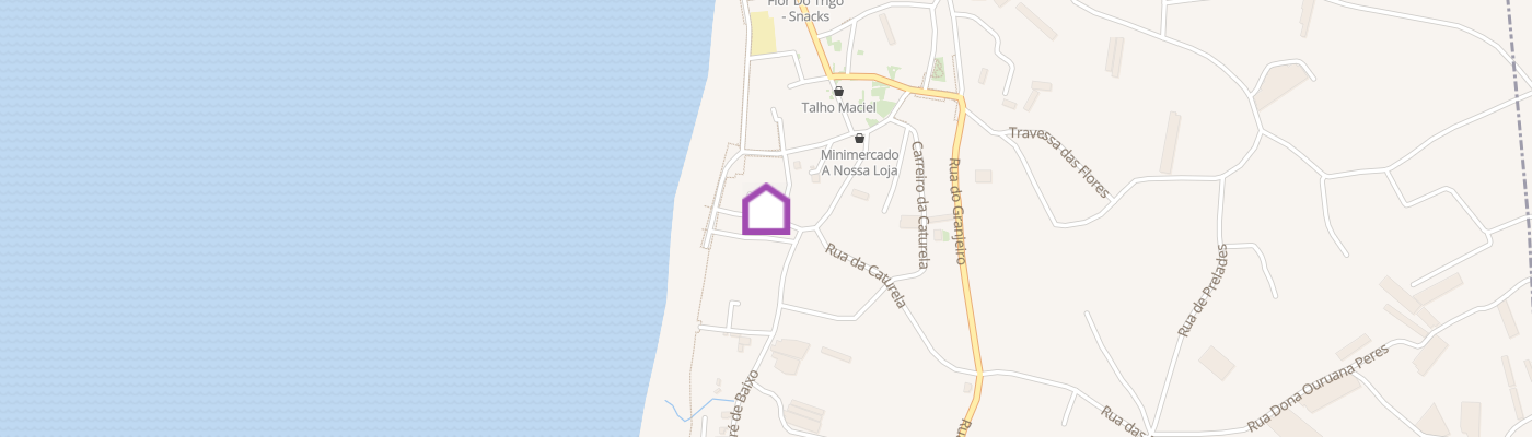 listing-map-picture
