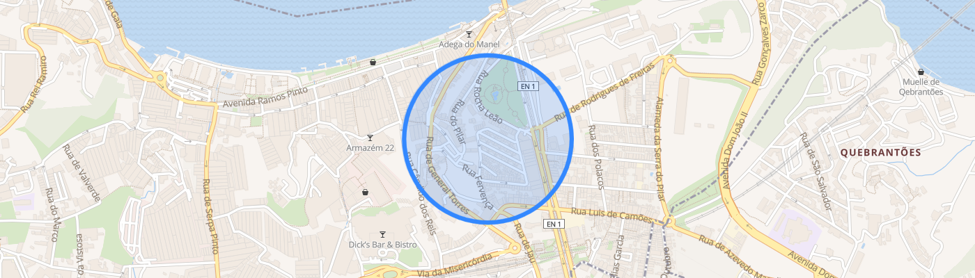 listing-map-picture