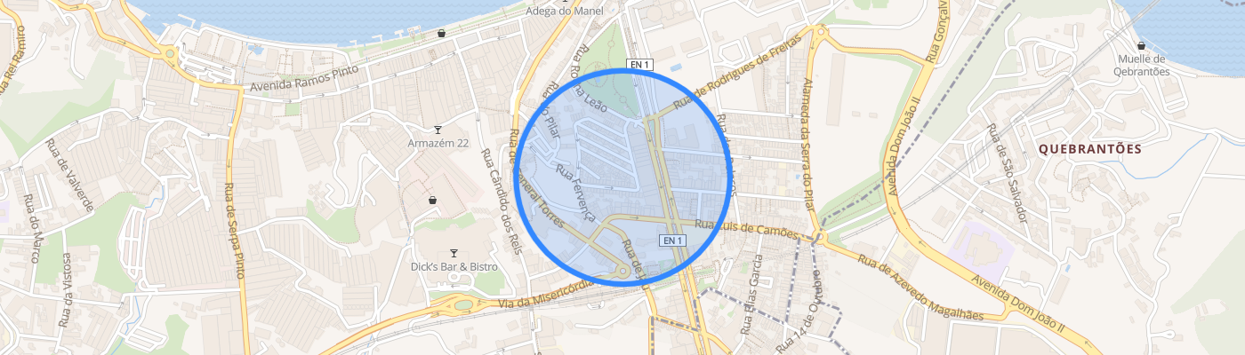 listing-map-picture