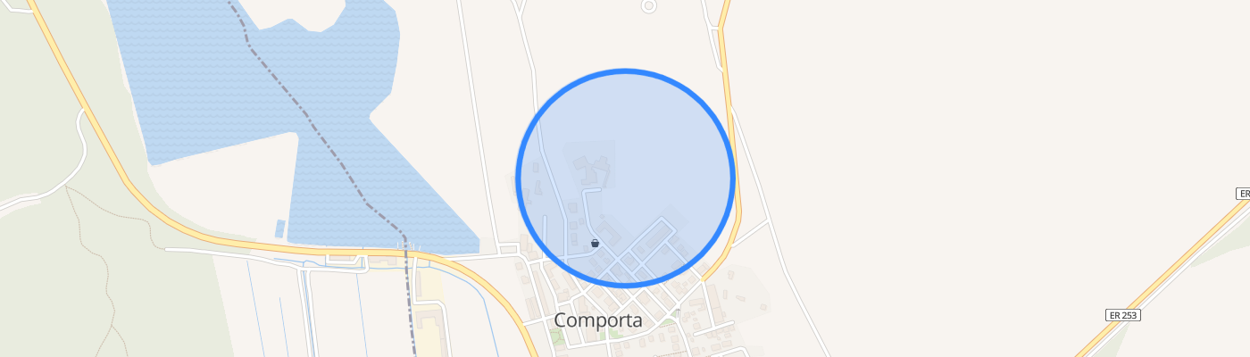 listing-map-picture