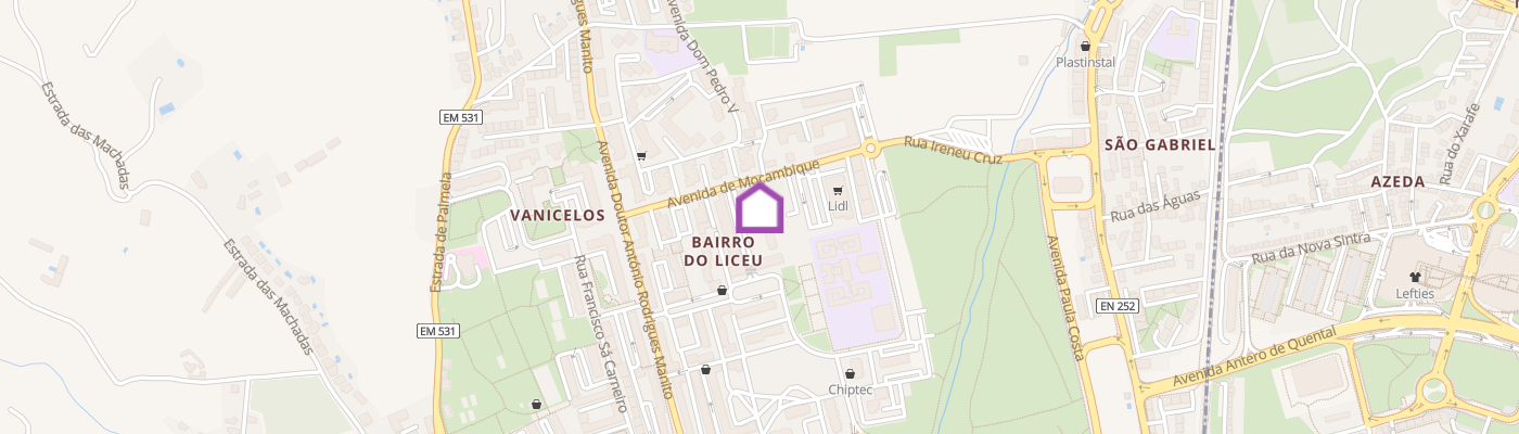 listing-map-picture