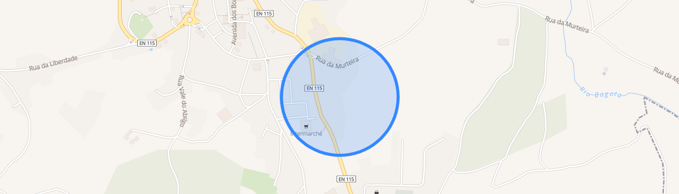 listing-map-picture