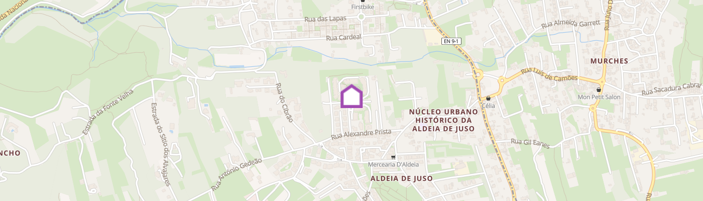 listing-map-picture