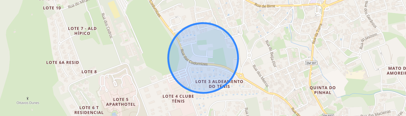 listing-map-picture