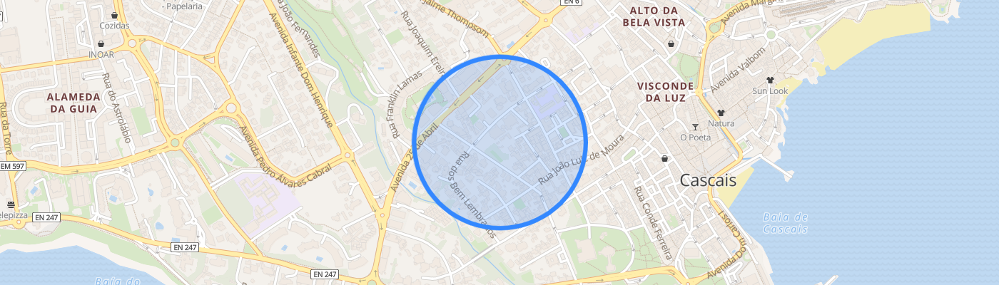 listing-map-picture