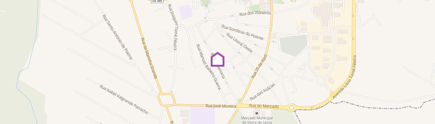 listing-map-picture