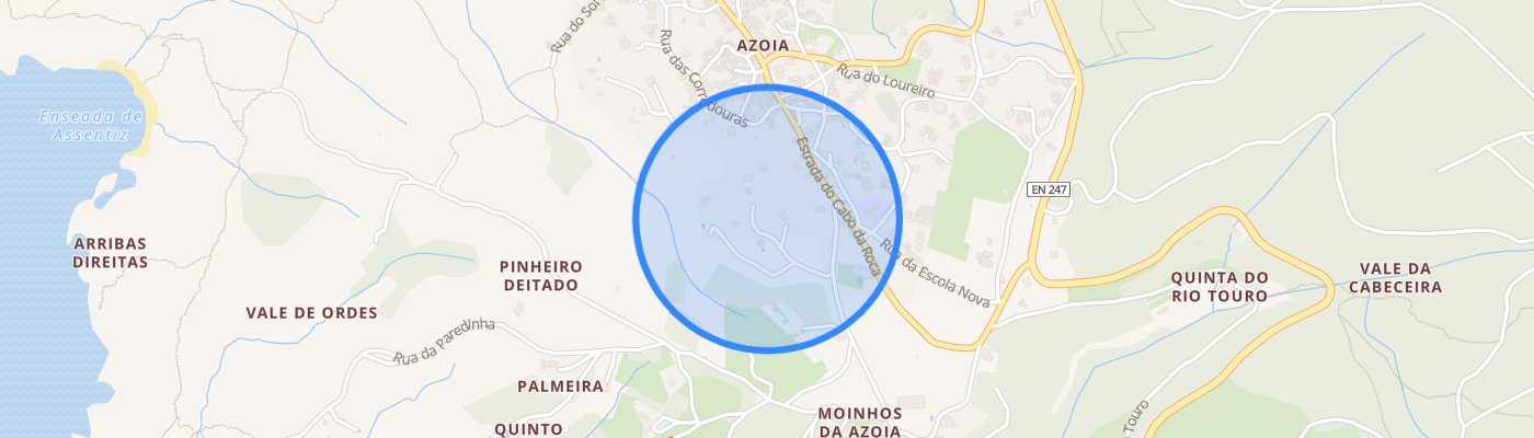 listing-map-picture