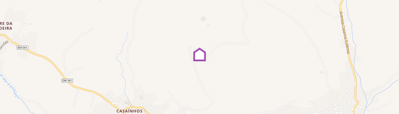 listing-map-picture