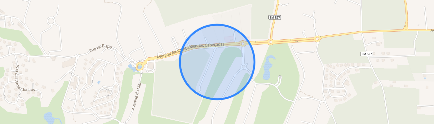 listing-map-picture