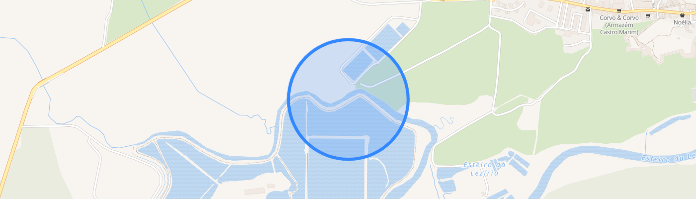 listing-map-picture