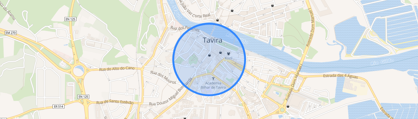 listing-map-picture