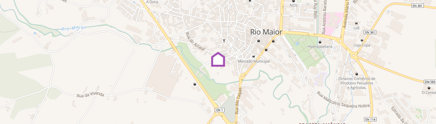 listing-map-picture
