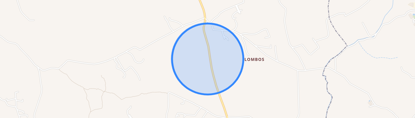 listing-map-picture
