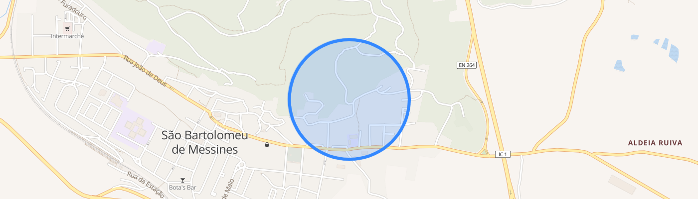 listing-map-picture