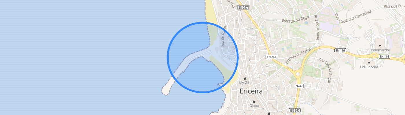 listing-map-picture