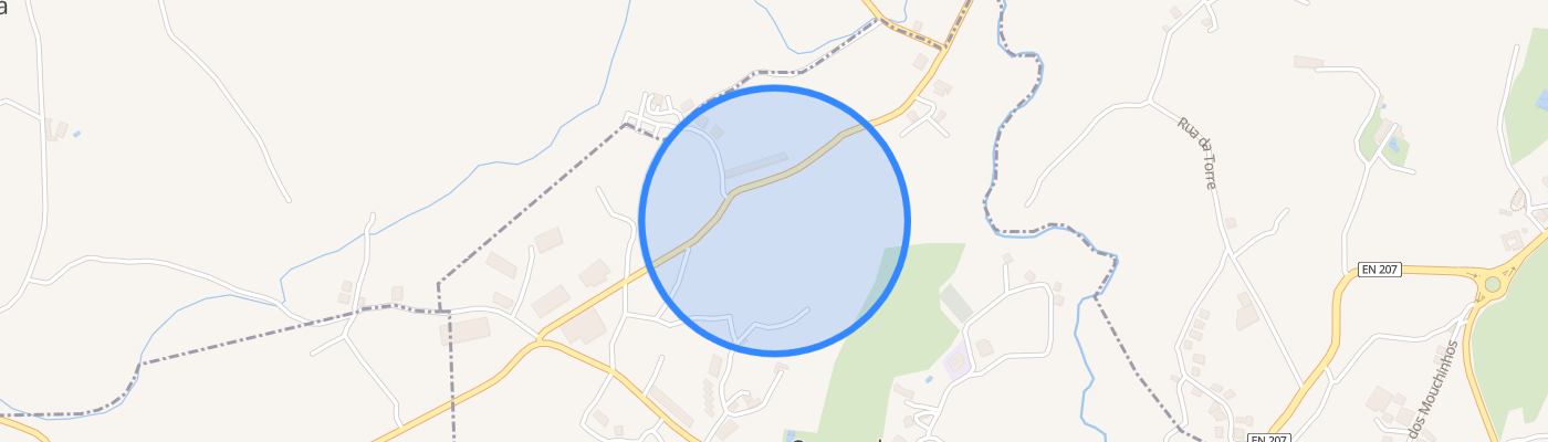 listing-map-picture