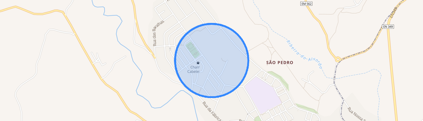 listing-map-picture