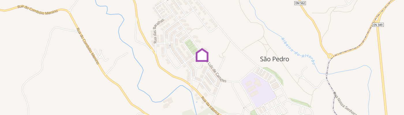 listing-map-picture
