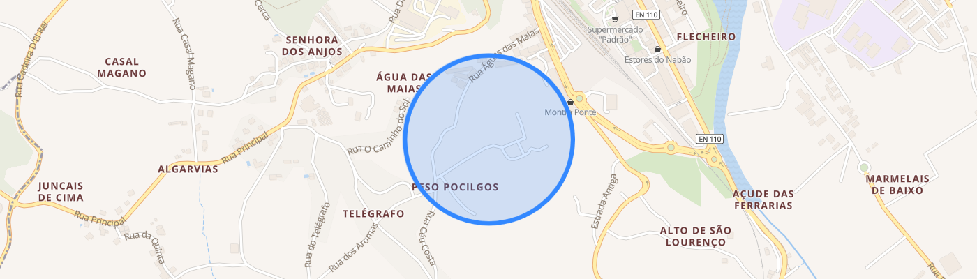 listing-map-picture