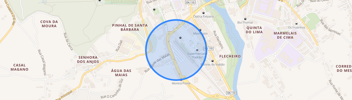 listing-map-picture