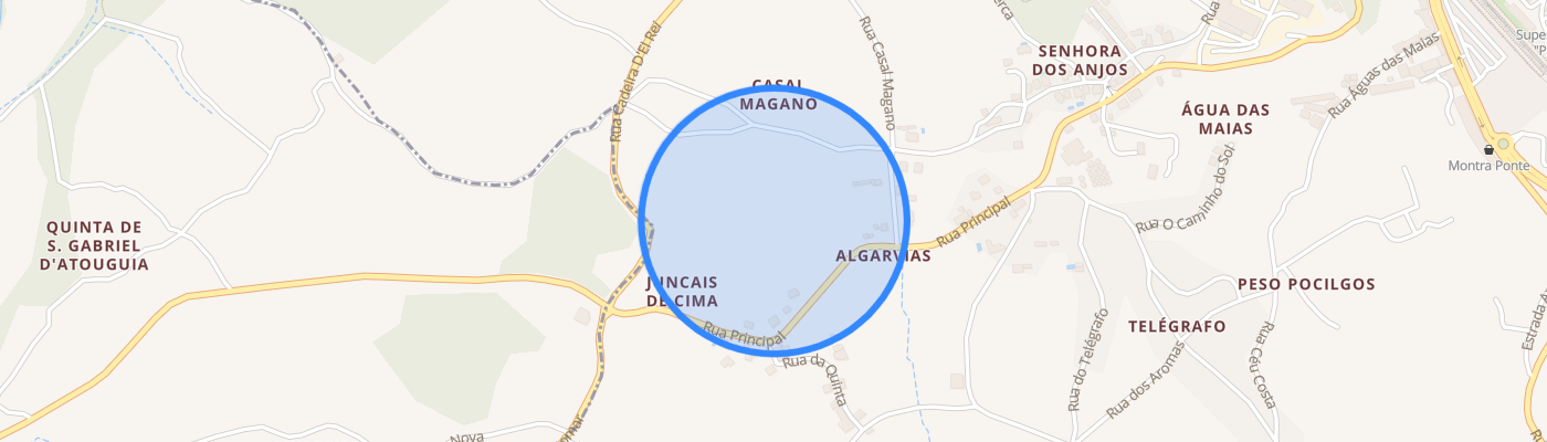 listing-map-picture