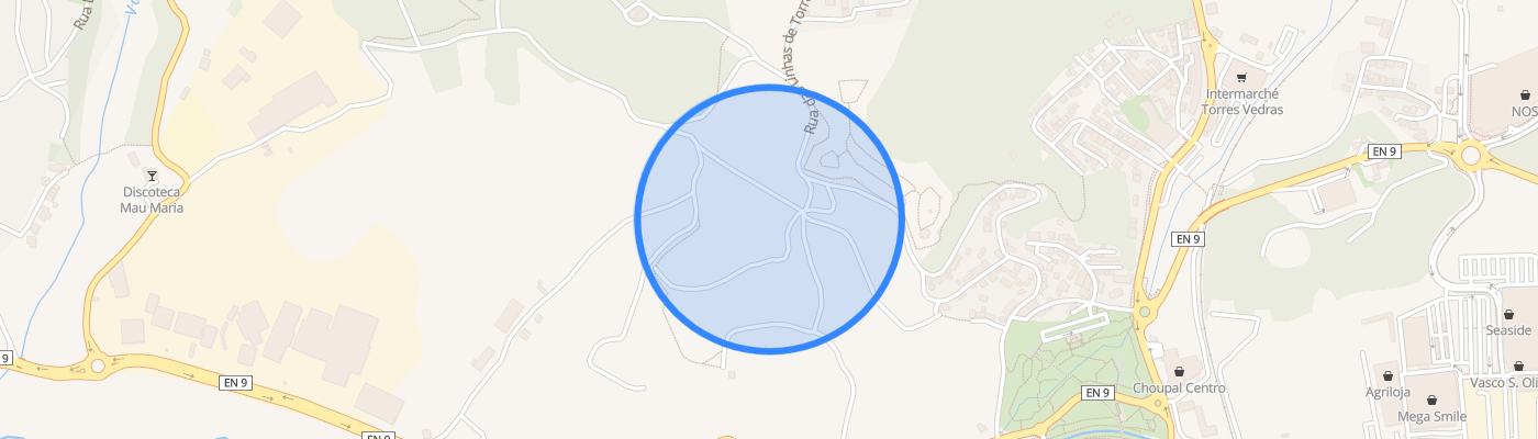 listing-map-picture