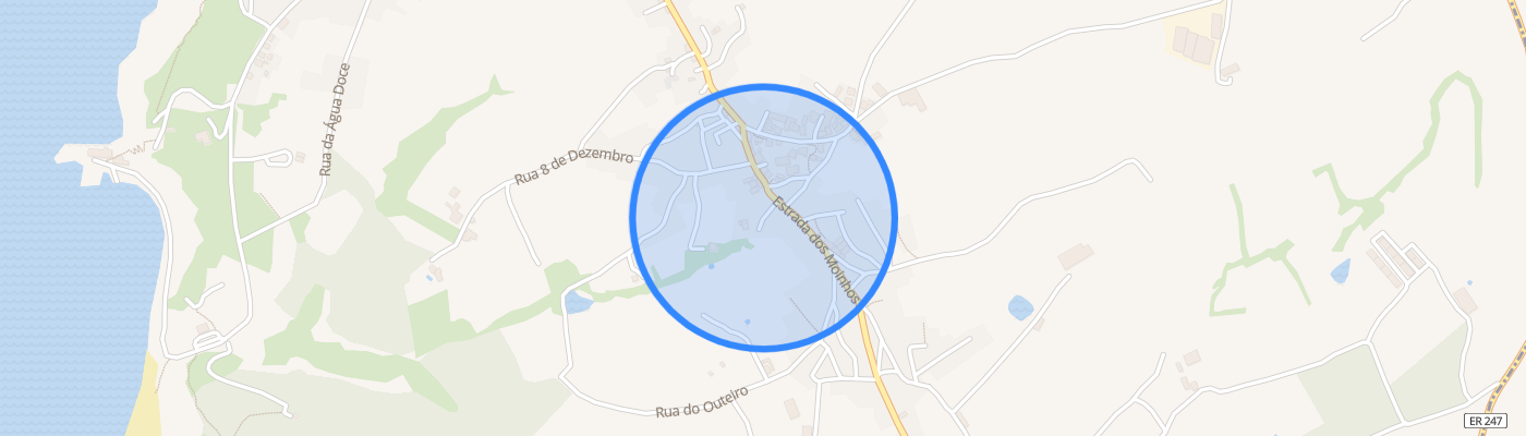 listing-map-picture