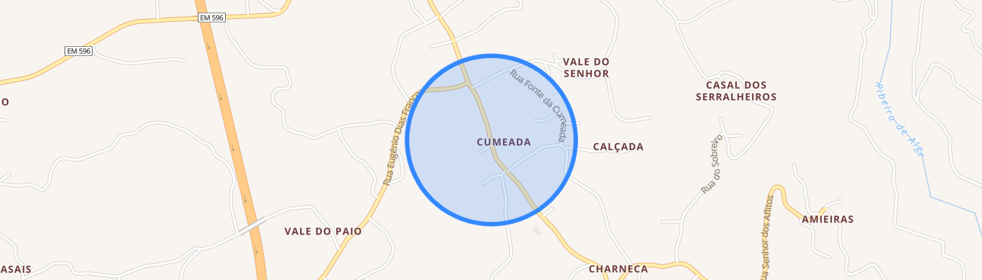 listing-map-picture