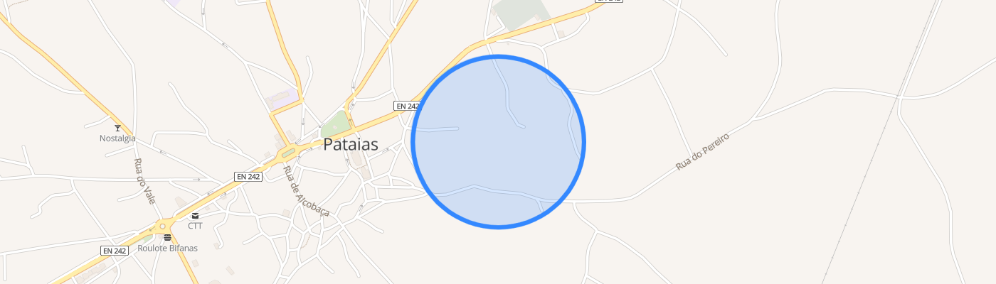 listing-map-picture