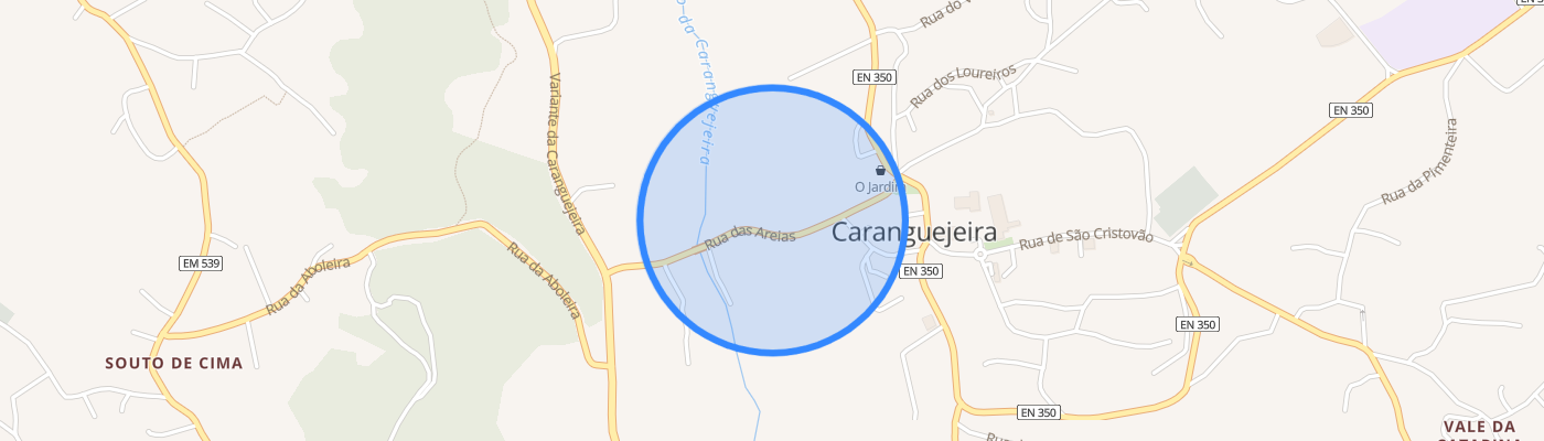listing-map-picture