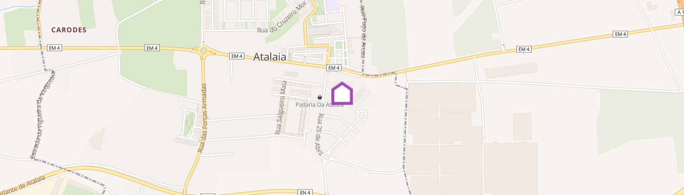 listing-map-picture