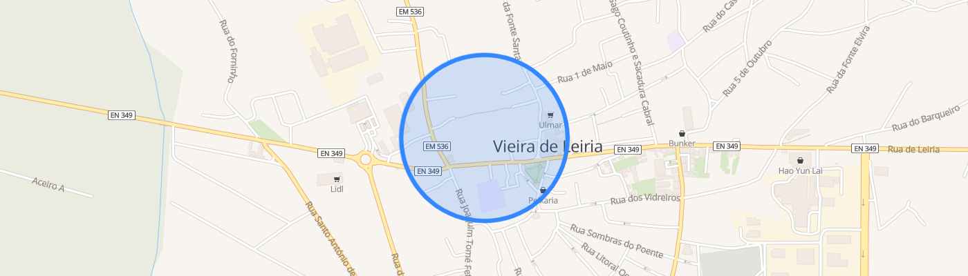 listing-map-picture