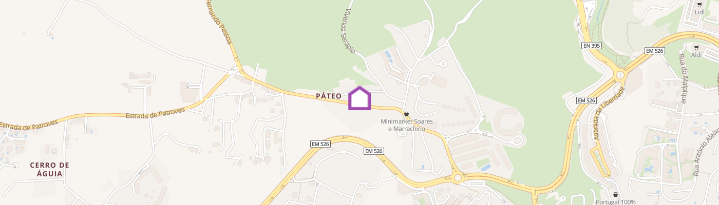 listing-map-picture