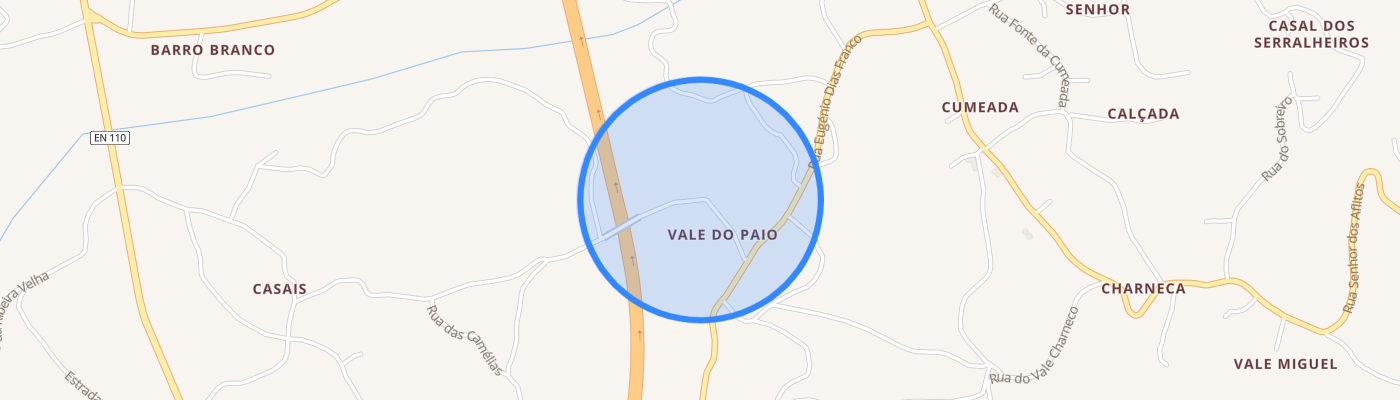 listing-map-picture