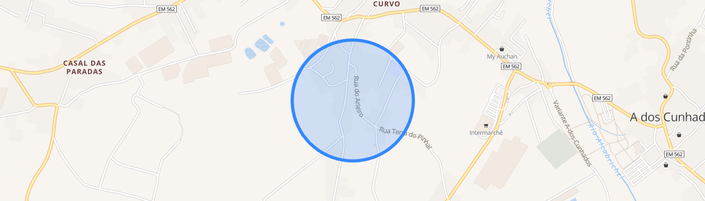 listing-map-picture