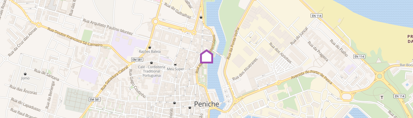 listing-map-picture