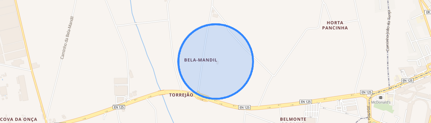 listing-map-picture