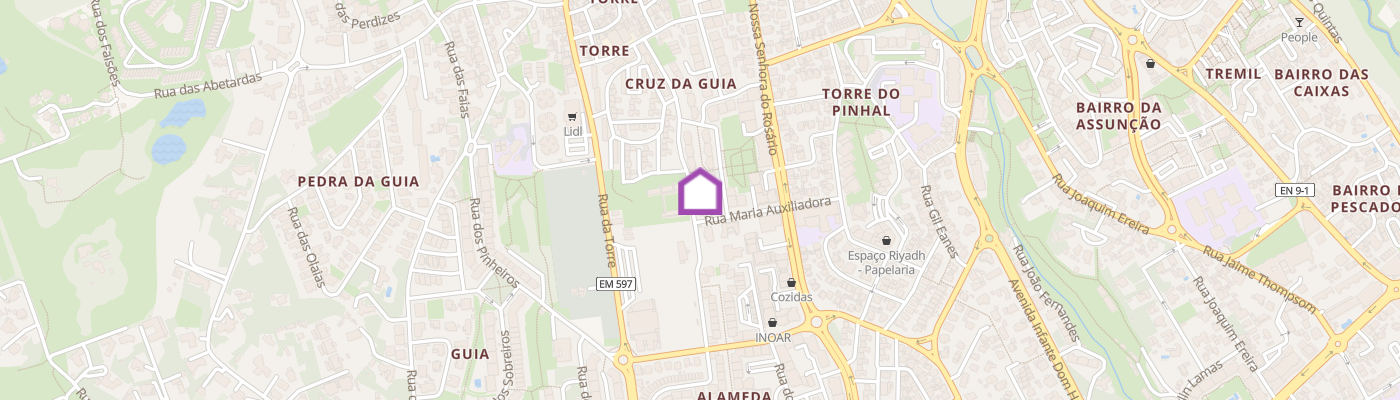listing-map-picture