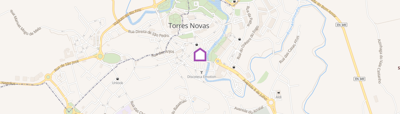 listing-map-picture
