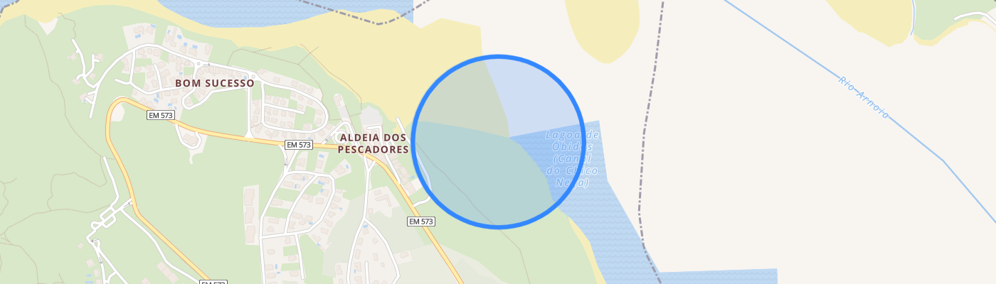 listing-map-picture