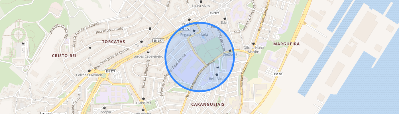 listing-map-picture