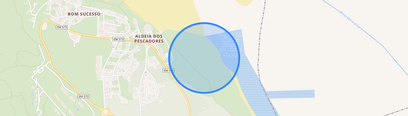 listing-map-picture