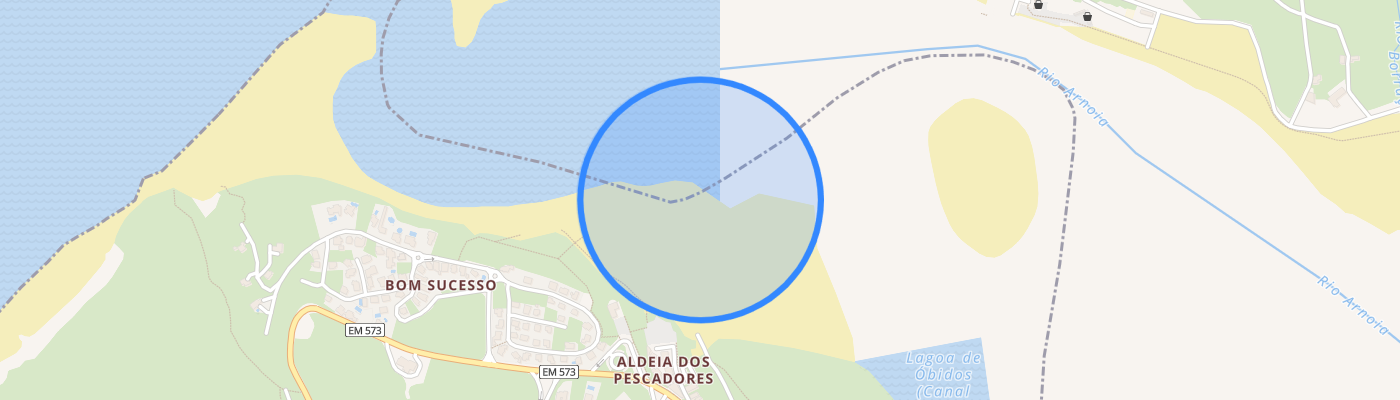 listing-map-picture