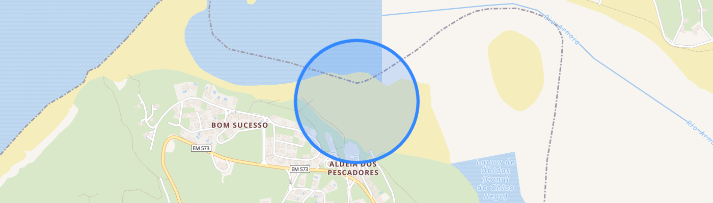 listing-map-picture