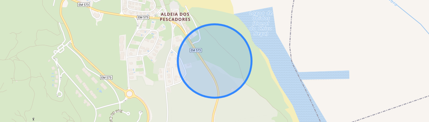 listing-map-picture