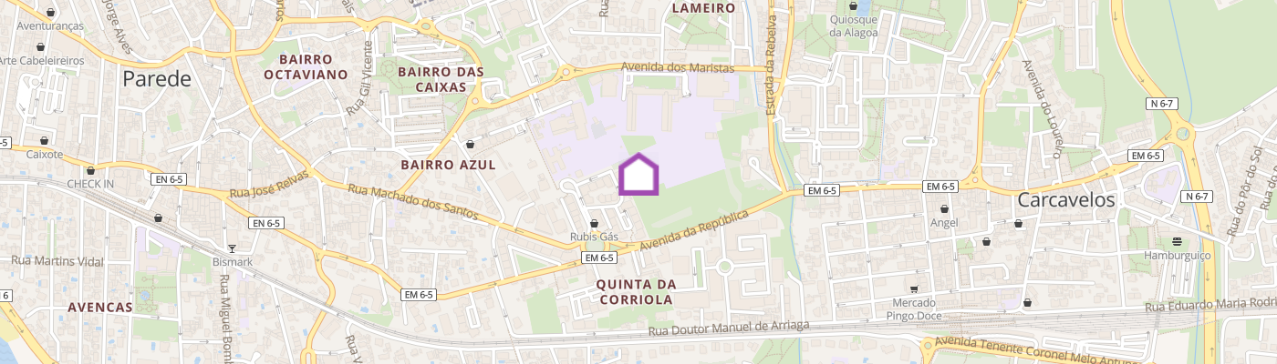 listing-map-picture